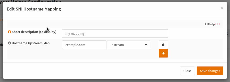 _images/nginx_streams_snimap_edit.png