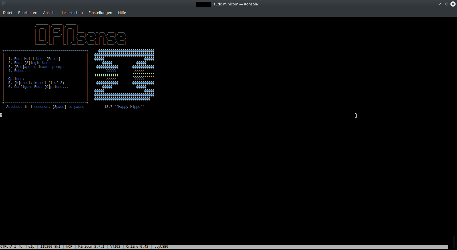 _images/serial_bootloader.png