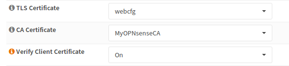 _images/nginx_auth_tls.png